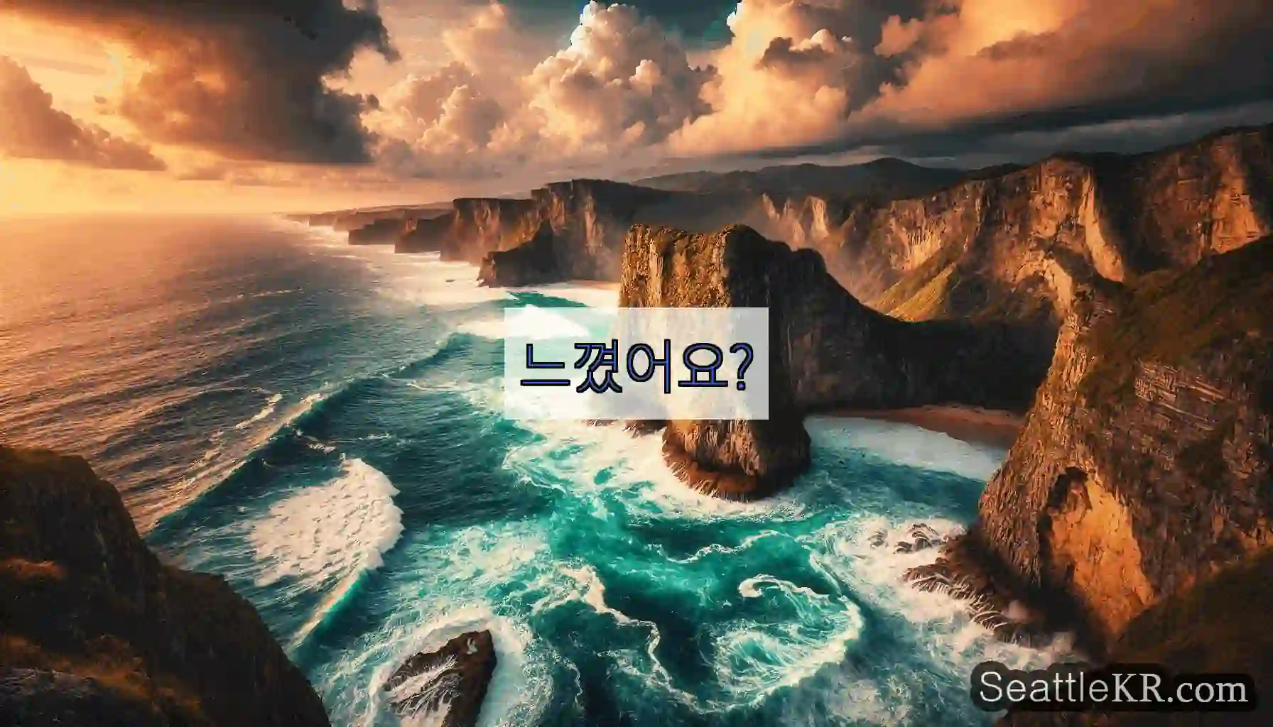 느꼈어요?