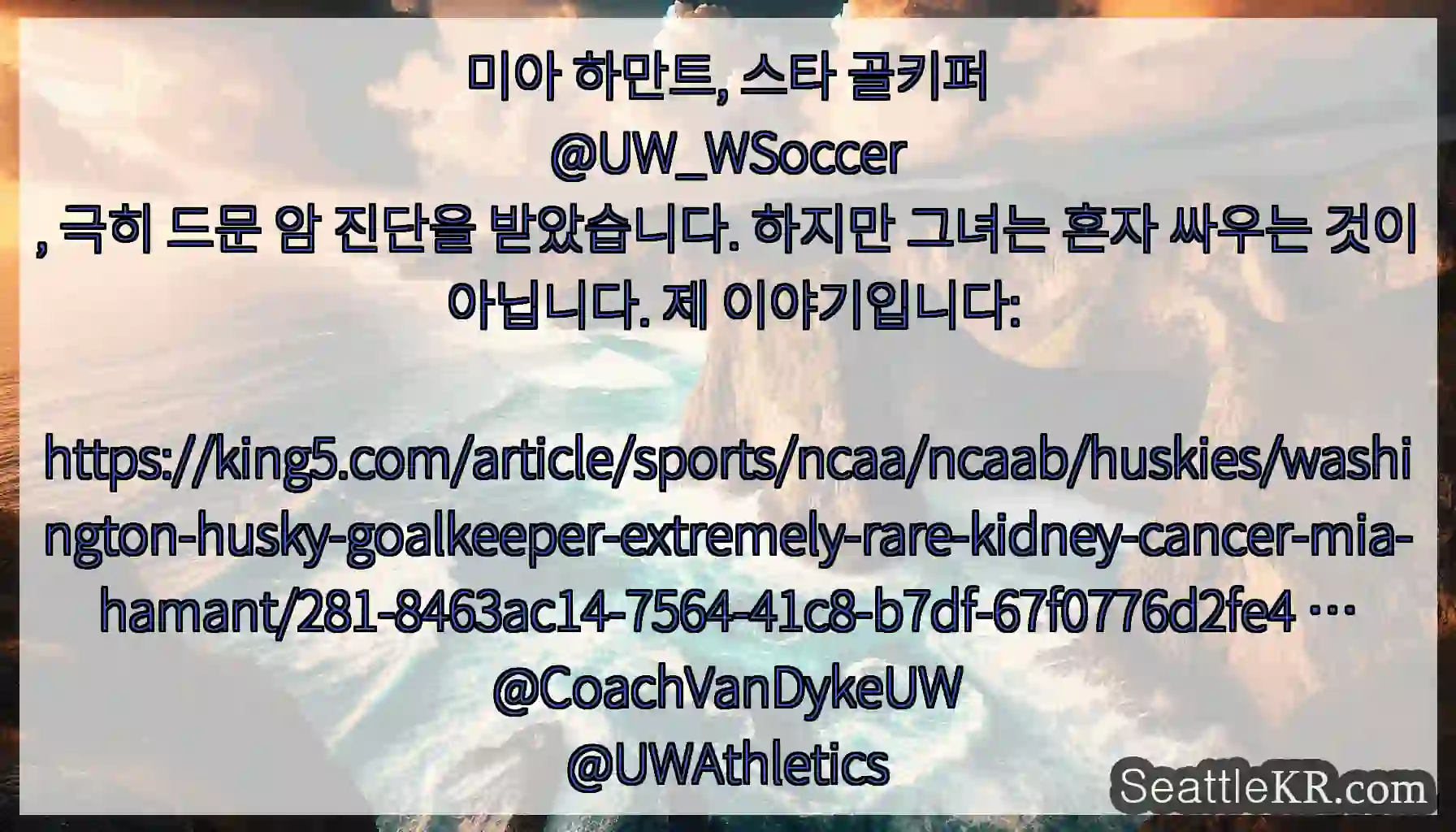 미아 하만트, 스타 골키퍼
@UW_WSoccer
, 극히 드문 암 진단을 받았습니다.