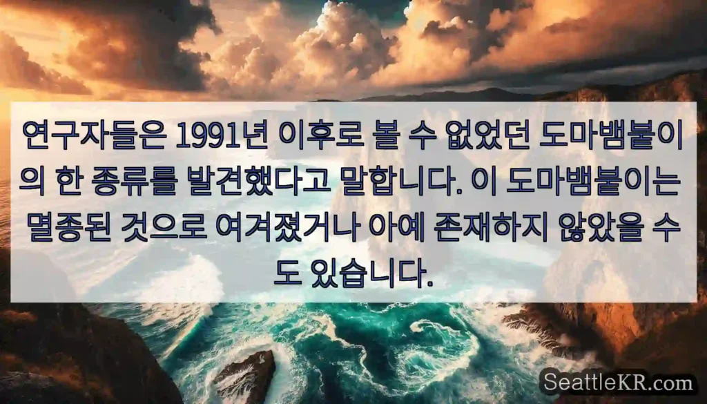 연구자들은 1991년 이후로 볼 수 없었던 도마뱀붙이의 한 종류를 발견했다고 말합니다.