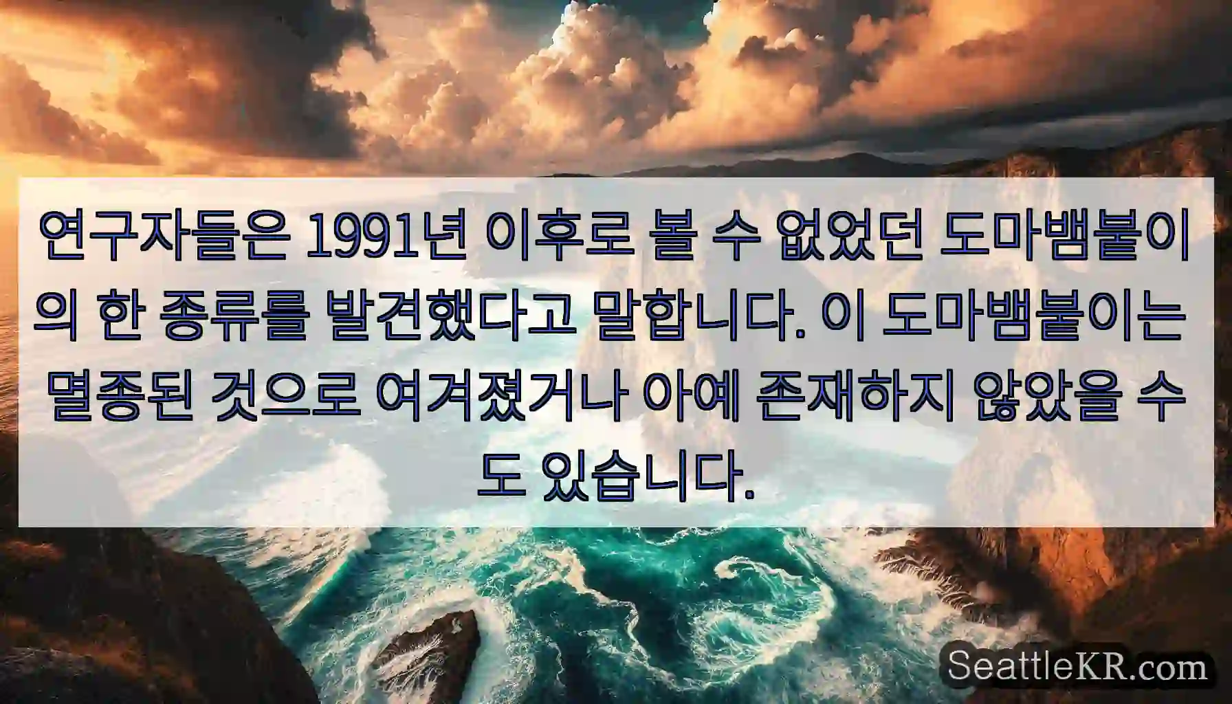 연구자들은 1991년 이후로 볼 수 없었던 도마뱀붙이의 한 종류를 발견했다고 말합니다.