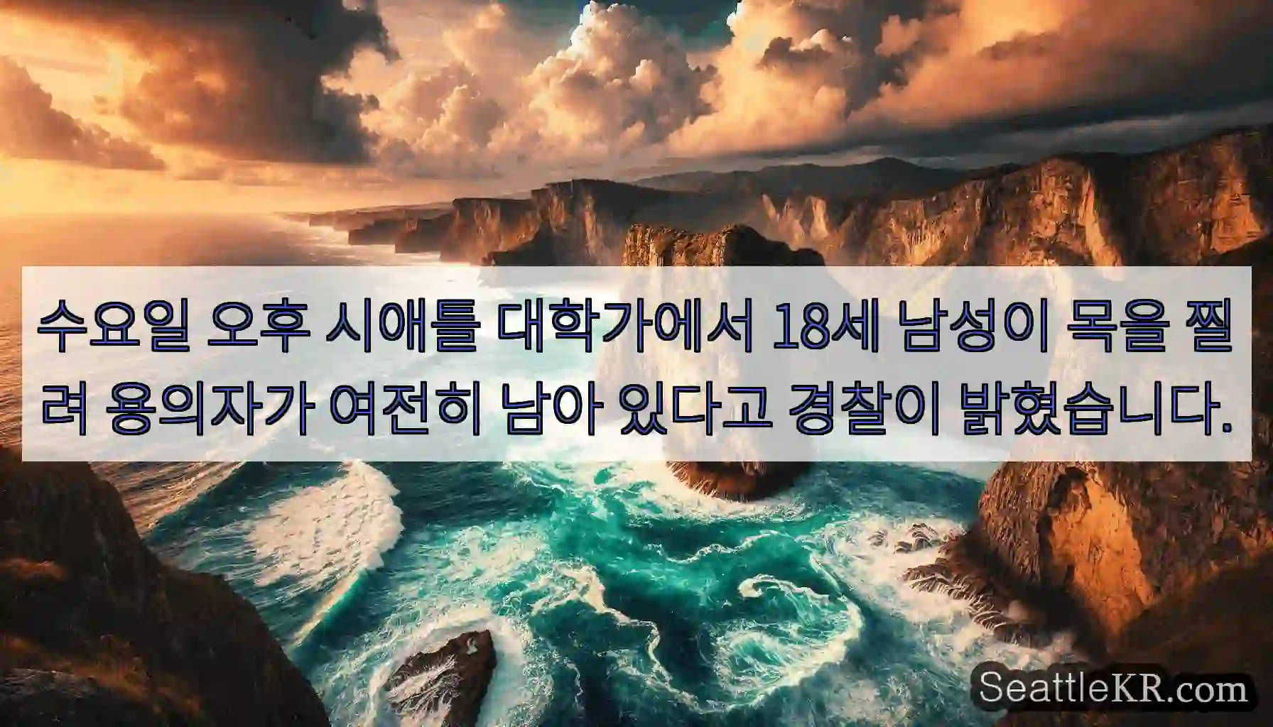 수요일 오후 시애틀 대학가에서 18세 남성이 목을 찔려 용의자가 여전히 남아 있다고