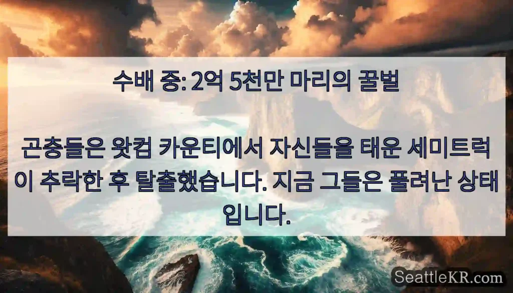 수배 중: 2억 5천만 마리의 꿀벌 곤충들은 왓컴 카운티에서 자신들을 태운 세미트럭이