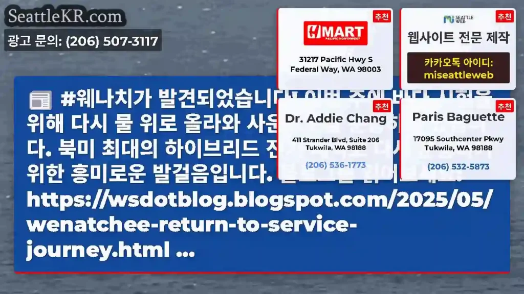 #웨나치가 발견되었습니다! 이번 주에 바다 시험을 위해 다시 물 위로 올라와 사운드호를