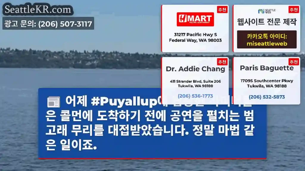 어제 #Puyallup에 탑승한 라이더들은 콜먼에 도착하기 전에 공연을 펼치는 범고래