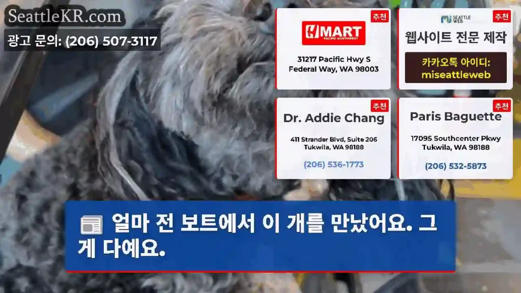 얼마 전 보트에서 이 개를 만났어요. 그게 다예요.