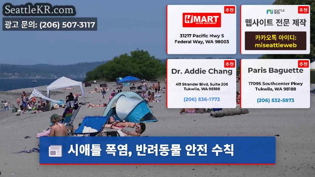 시애틀 폭염, 반려동물 안전 수칙