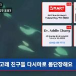고래 친구들 다시마로 몸단장해요