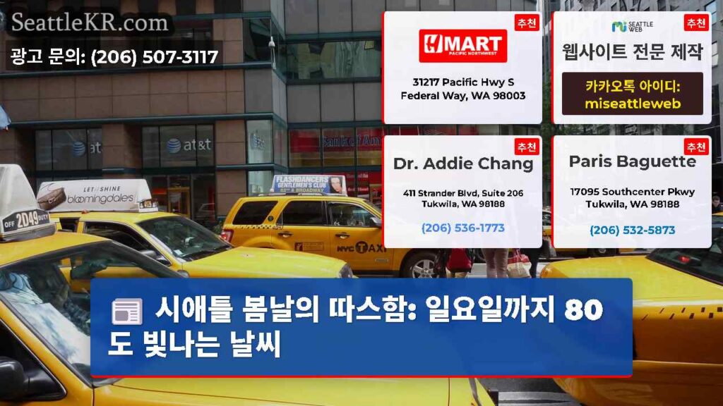 시애틀 봄날의 따스함: 일요일까지 80도 빛나는 날씨