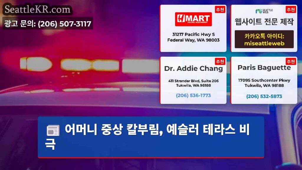 어머니 중상 칼부림, 예슬러 테라스 비극