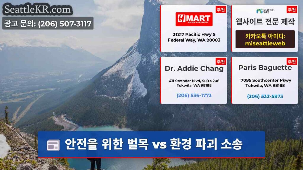 안전을 위한 벌목 vs 환경 파괴 소송
