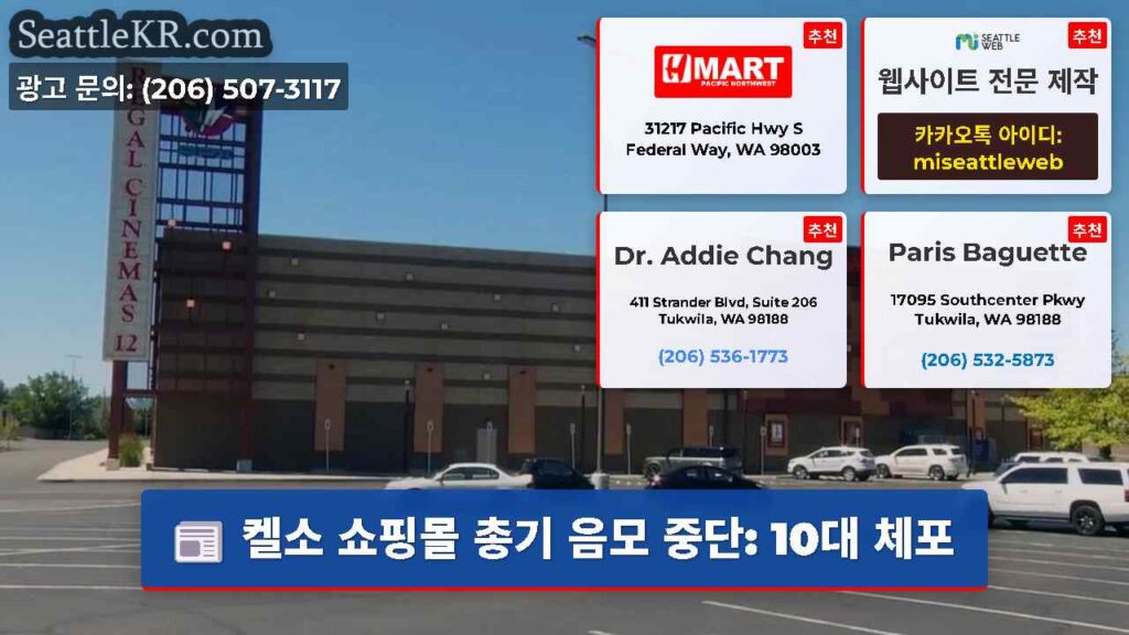 켈소 쇼핑몰 총기 음모 중단: 10대 체포
