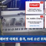 에버렛 아파트 총격 11세 소년 위독상