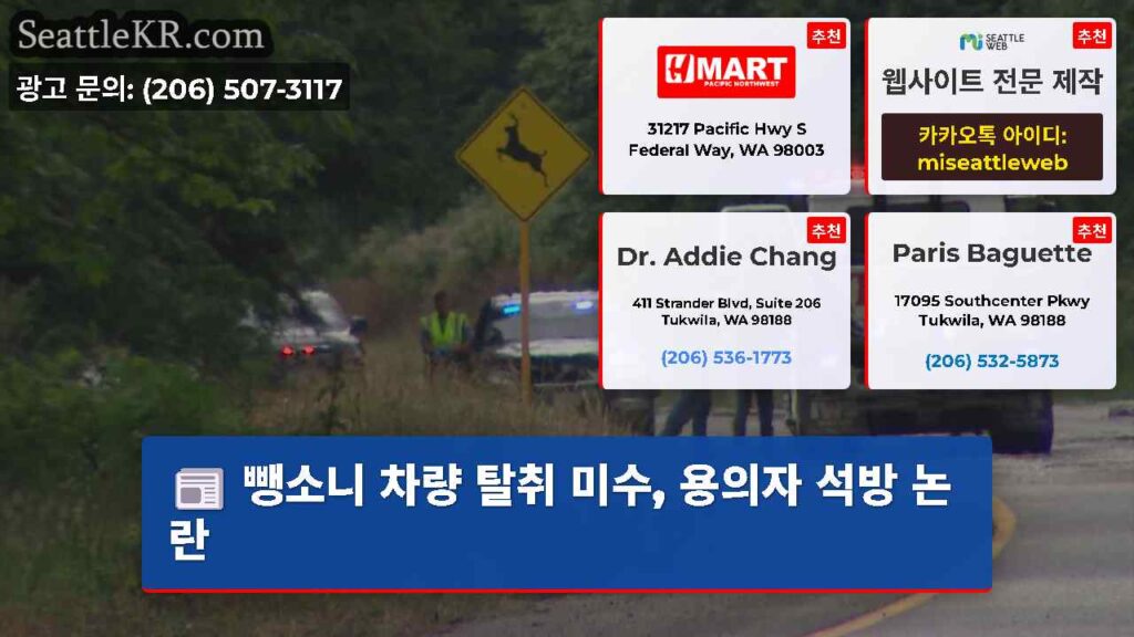 뺑소니 차량 탈취 미수, 용의자 석방 논란