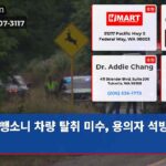 뺑소니 차량 탈취 미수 용의자 석방 논란