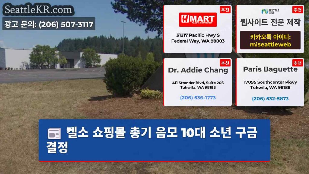 켈소 쇼핑몰 총기 음모 10대 소년 구금 결정