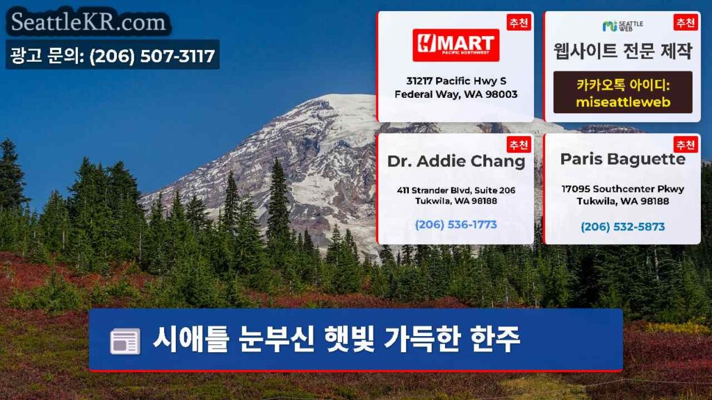 시애틀 눈부신 햇빛 가득한 한주