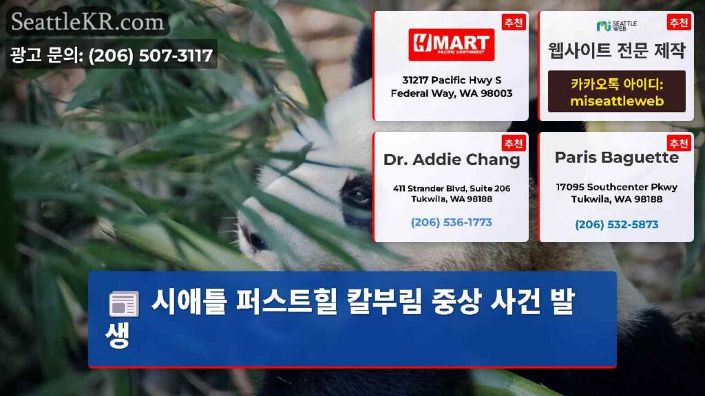 시애틀 퍼스트힐 칼부림 중상 사건 발생