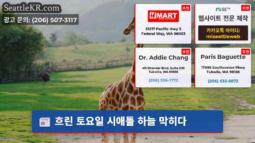 흐린 토요일 시애틀 하늘 막히다