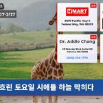 흐린 토요일 시애틀 하늘 막히다