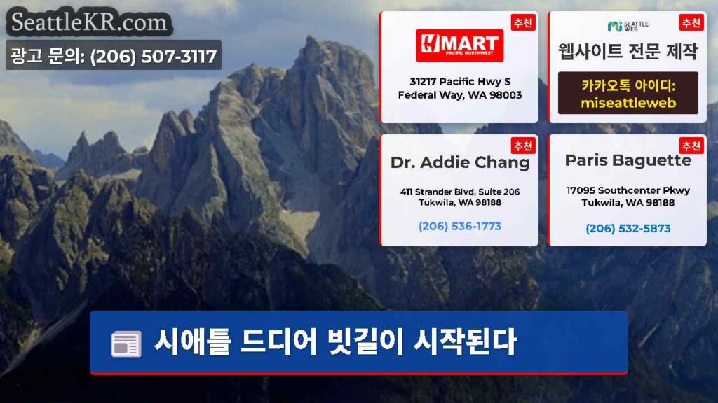 시애틀 드디어 빗길이 시작된다