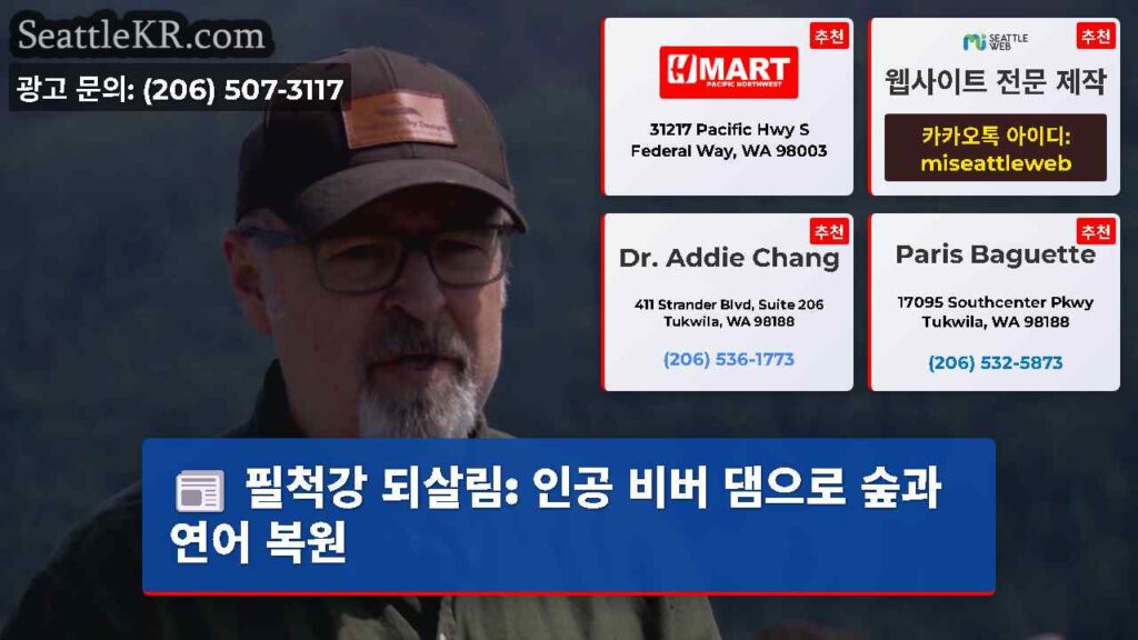 필척강 되살림: 인공 비버 댐으로 숲과 연어 복원