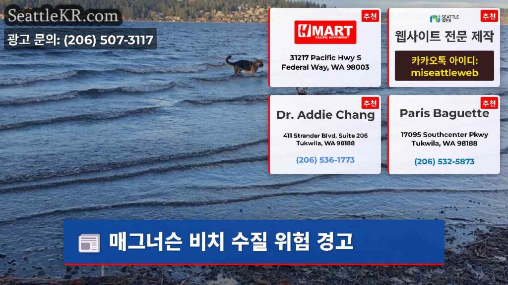 매그너슨 비치 수질 위험 경고