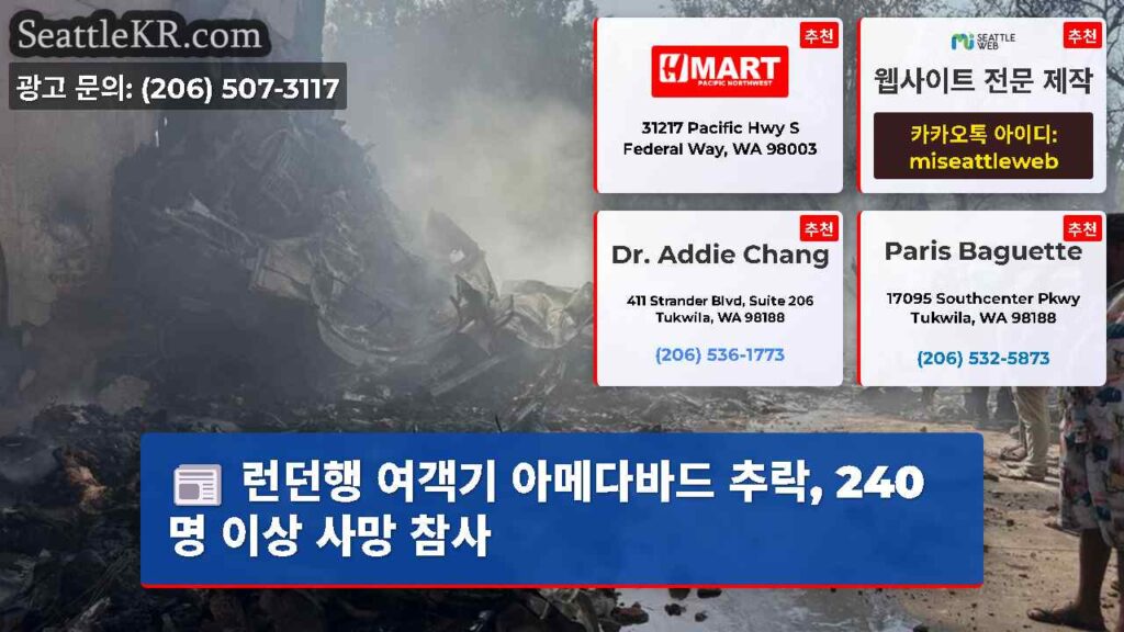 런던행 여객기 아메다바드 추락, 240명 이상 사망 참사