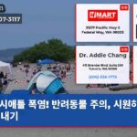 시애틀 폭염! 반려동물 주의 시원하게 이겨내기