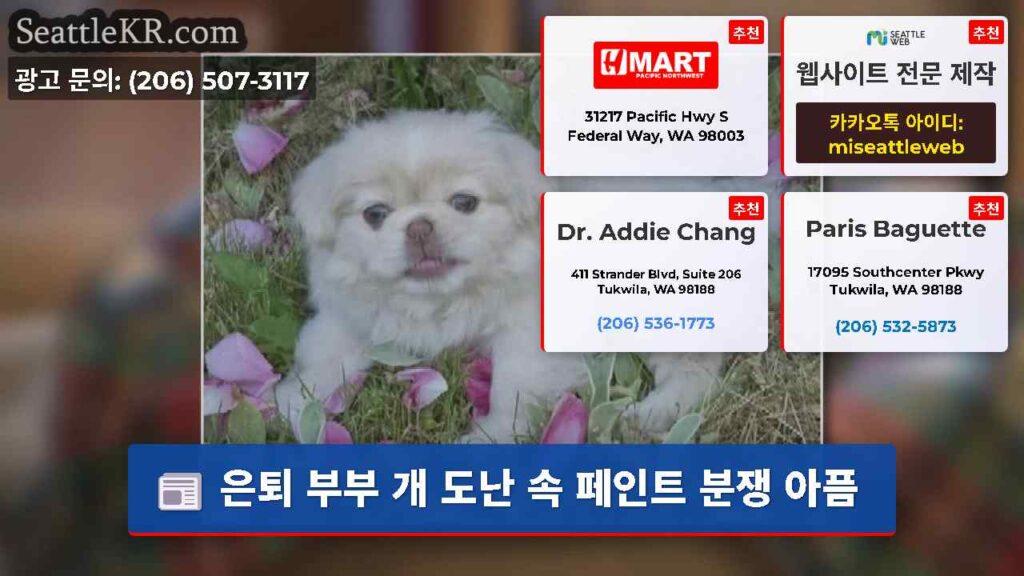 은퇴 부부 개 도난 속 페인트 분쟁 아픔