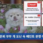 은퇴 부부 개 도난 속 페인트 분쟁 아픔