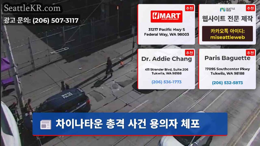 차이나타운 총격 사건 용의자 체포