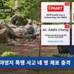 야영지 폭행 사고 네 명 체포 충격