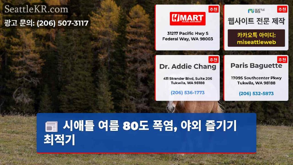 시애틀 여름 80도 폭염, 야외 즐기기 최적기