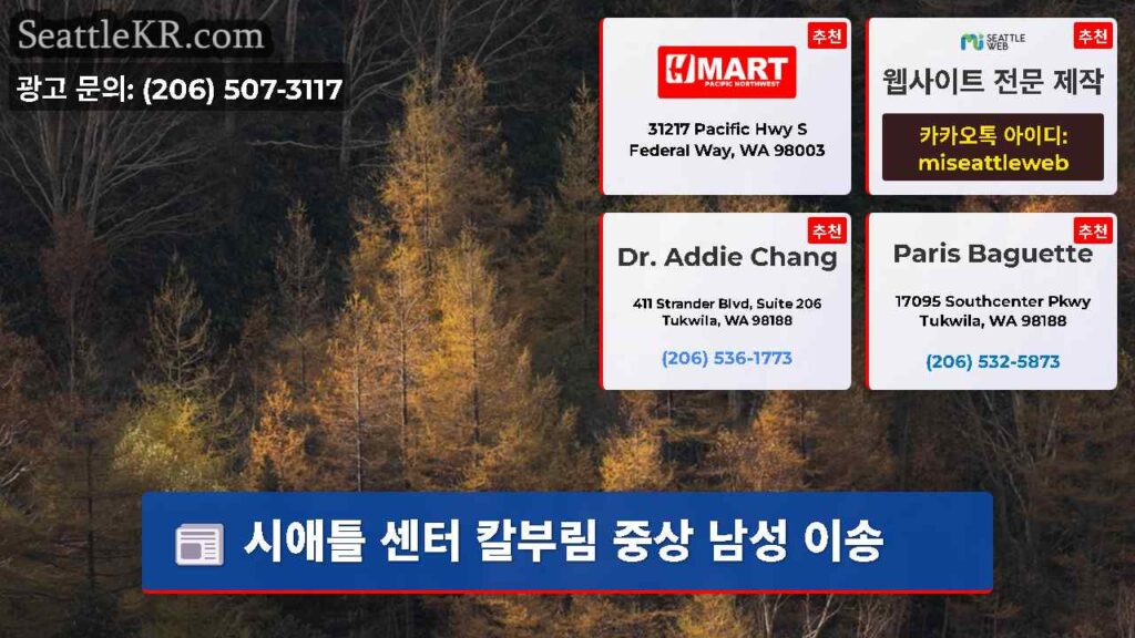시애틀 센터 칼부림 중상 남성 이송