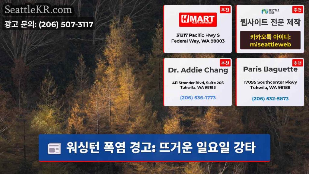 워싱턴 폭염 경고: 뜨거운 일요일 강타