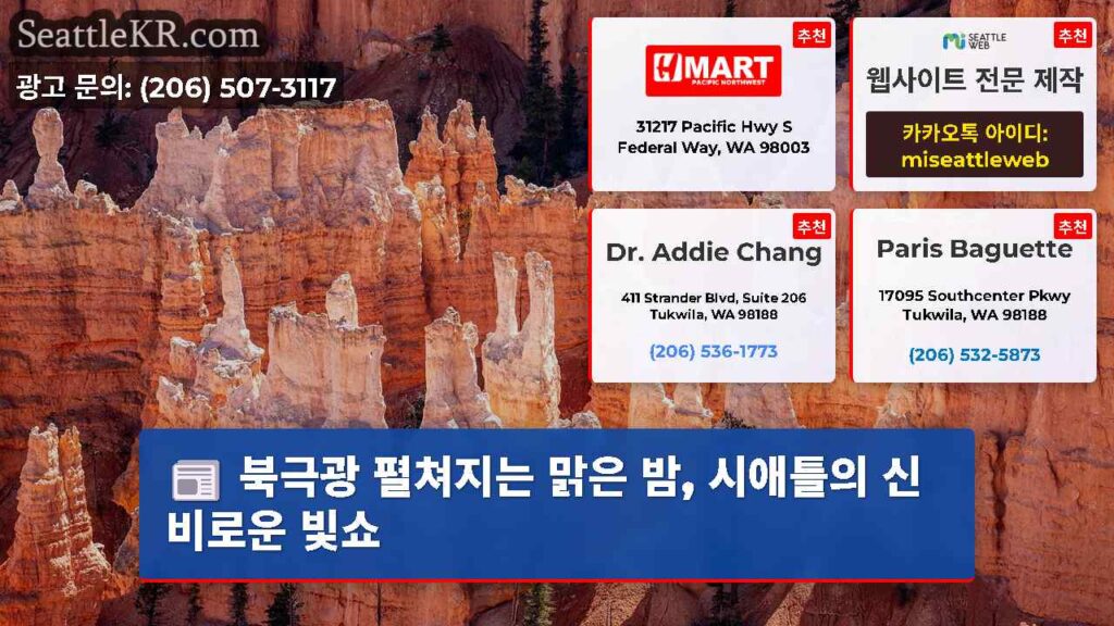 북극광 펼쳐지는 맑은 밤, 시애틀의 신비로운 빛쇼