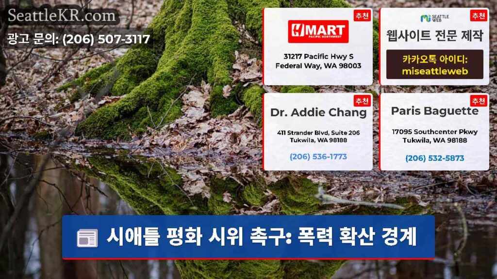 시애틀 평화 시위 촉구: 폭력 확산 경계