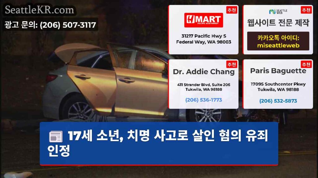 17세 소년, 치명 사고로 살인 혐의 유죄 인정