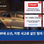 17세 소년 치명 사고로 살인 혐의 유죄 인정