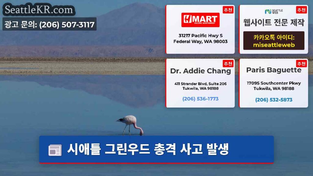 시애틀 그린우드 총격 사고 발생