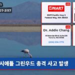 시애틀 그린우드 총격 사고 발생