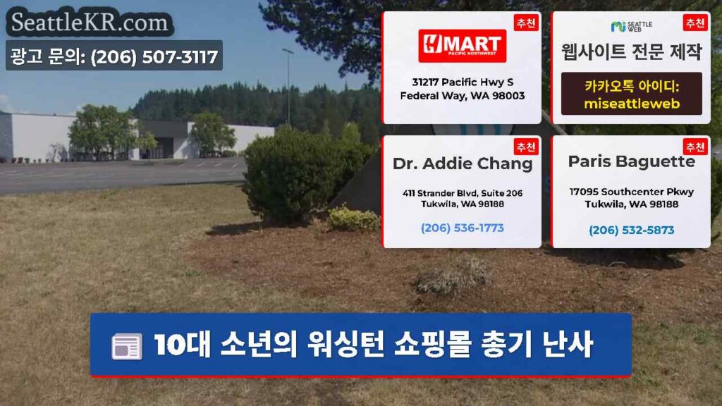 10대 소년의 워싱턴 쇼핑몰 총기 난사