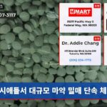 시애틀서 대규모 마약 밀매 단속 체포