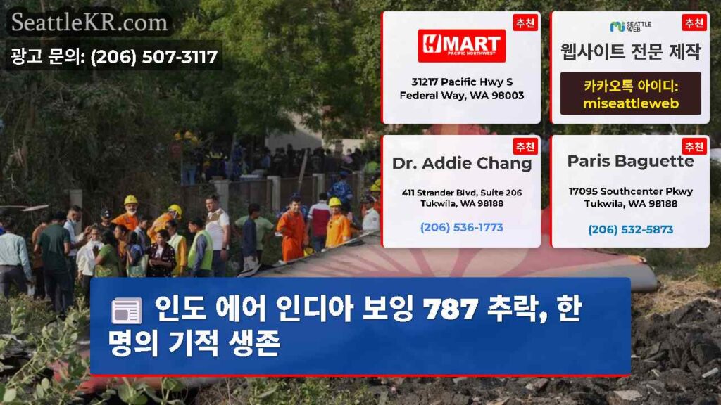 인도 에어 인디아 보잉 787 추락, 한 명의 기적 생존