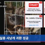 실종 사냥개 귀환 성공
