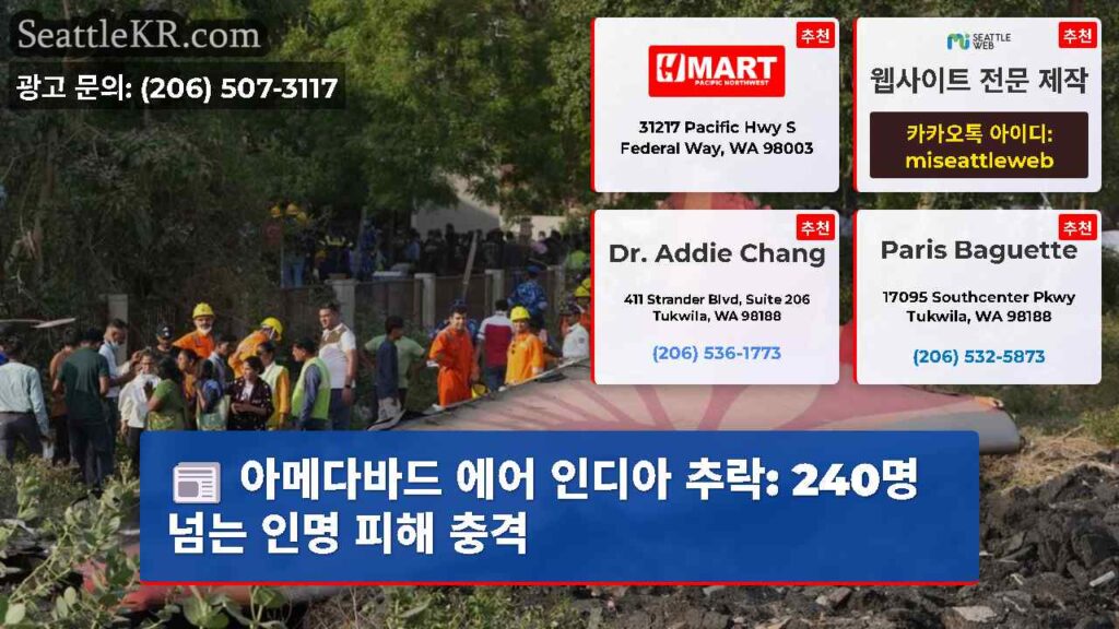 아메다바드 에어 인디아 추락: 240명 넘는 인명 피해 충격
