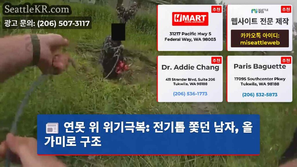 연못 위 위기극복: 전기톱 쫓던 남자, 올가미로 구조