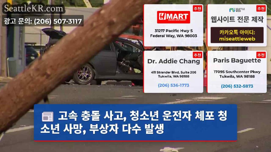 고속 충돌 사고, 청소년 운전자 체포 청소년 사망, 부상자 다수 발생