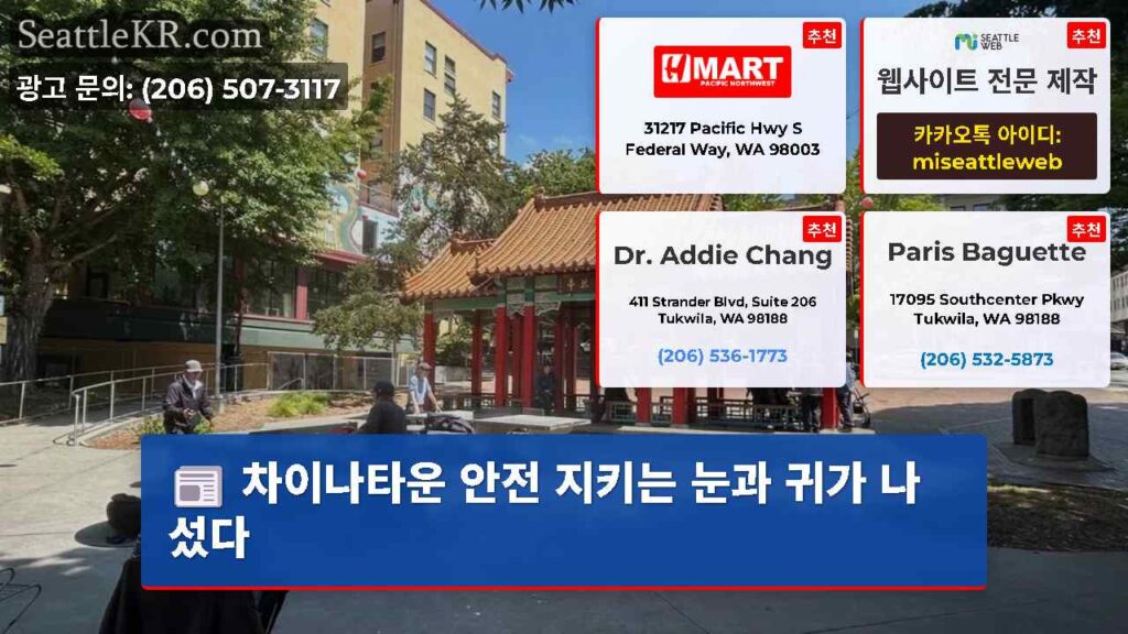 차이나타운 안전 지키는 눈과 귀가 나섰다