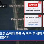 오션 쇼어의 폭풍 속 비극 두 생명 파도에 휩쓸리다